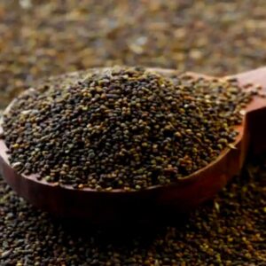 Pahadi Jakhiya Seeds – 100gm